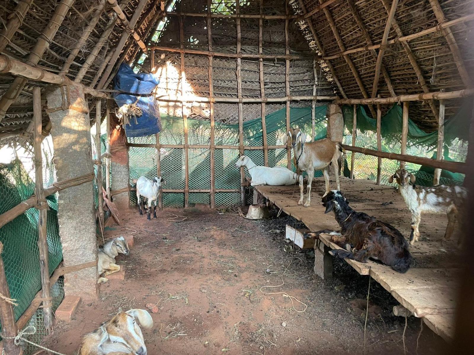 فيلا Paradise Quest Nature Farmhouse Kālapettai المظهر الخارجي الصورة